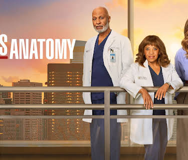 Grey's Anatomy Season 22