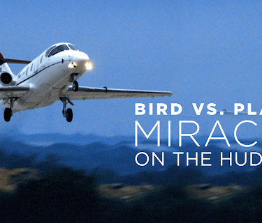 Bird vs. Plane: Miracle on the Hudson (2019)
