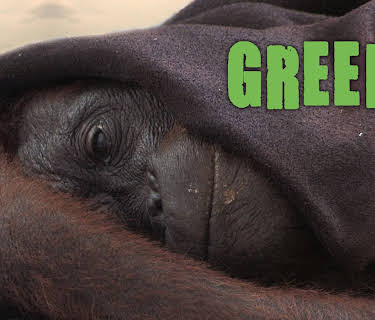Green (2009)