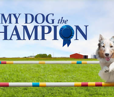 My Dog The Champion (2014)