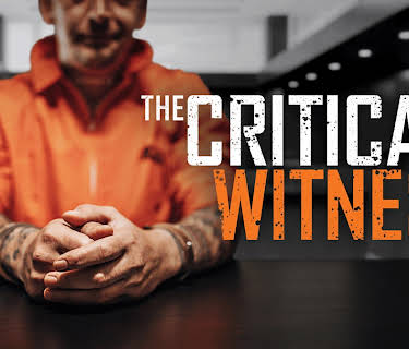 The Critical Witness