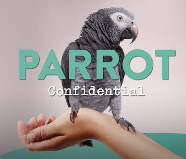 Parrot Confidential