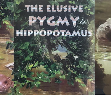 The Elusive Pigmy Hippopotamus (1970)