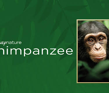 Disneynature: Chimpanzee (2012)