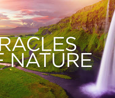 Miracles of Nature