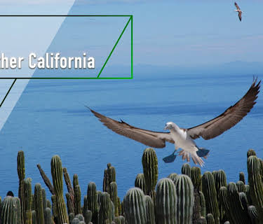 Baja - The Other California (2005)