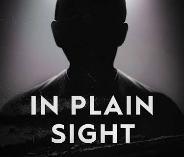 In Plain Sight Season 1