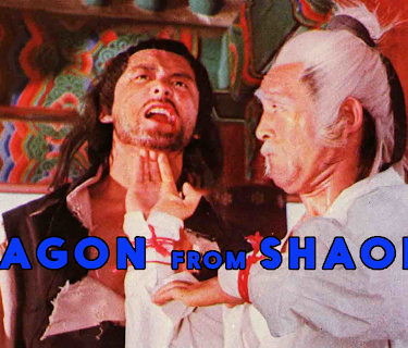Dragon From Shaolin (1996)