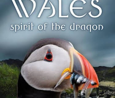 Wales: Spirit of the Dragon (2022)