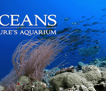Oceans: Nature's Aquarium (2013)