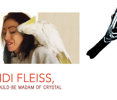 Heidi Fleiss: The Would-Be Madam of Crystal (2008)