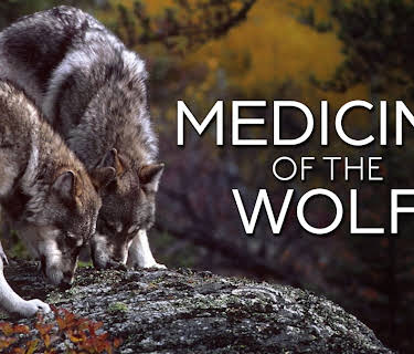 Medicine of the Wolf (2015)