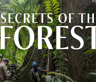 Secrets of the Forest (2025)