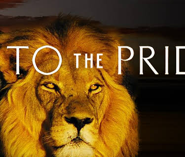 Into the Pride: Season 1