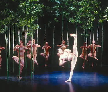 Bamboo Dream (2002)