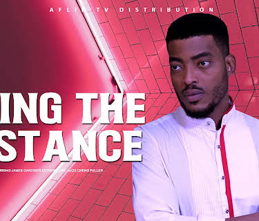 Going the distance (2010)