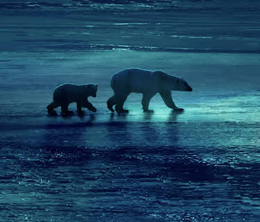 Frozen Planet