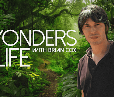 Wonders of Life Season 1