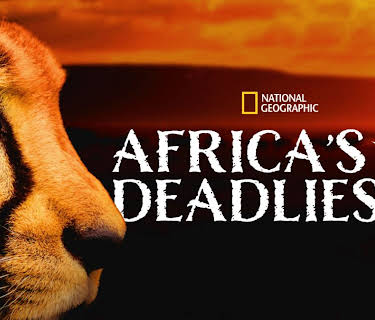 Africa's Deadliest