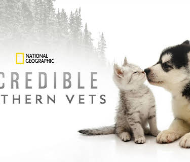 Incredible Northern Vets
