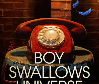 Boy Swallows Universe
