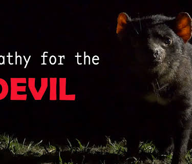 Sympathy for the Devil (2016)