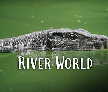 Wild City - River World (2020)