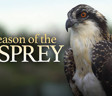 Season of the Osprey (1982)