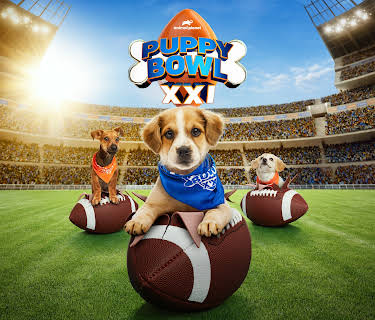Puppy Bowl, Season 21