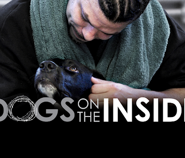 Dogs On the Inside (2014)