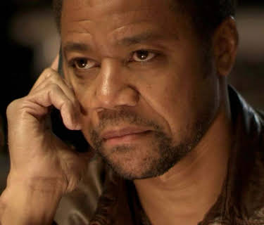 Absolute Deception (2013)