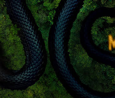 The Mosquito Coast