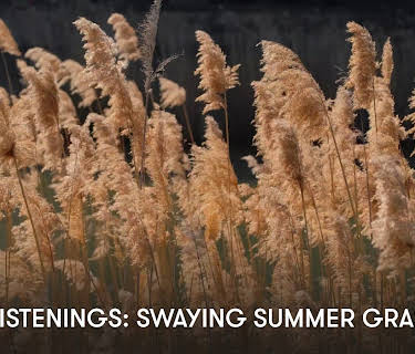 Easy Listenings: Swaying Summer Grasses (2023)