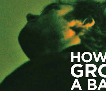 How to Grow a Band (2012)