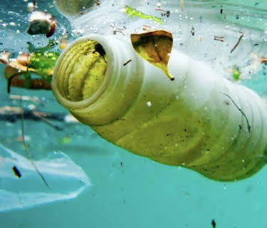 Plastic The Real Sea Monster (2018)