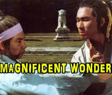 The Magnificent Wonderman (1979)