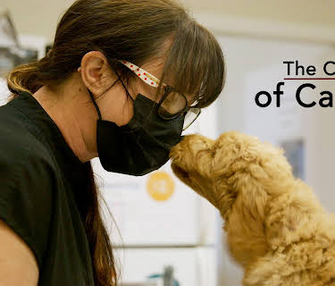 The Cost of Caring (2024)