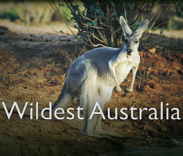 Wildest Australia (1996)