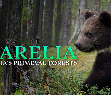 Karelia - Russias Primeval Forests (2017)