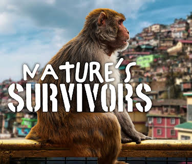 Nature’s Survivors (2026)
