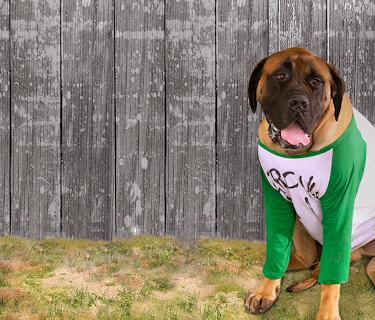 The Sandlot 2 (2005)