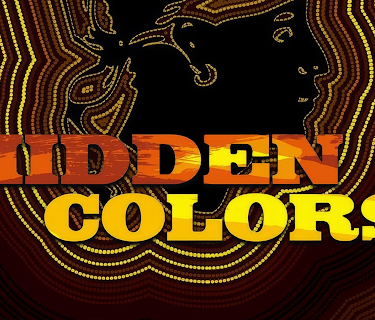 Hidden Colors (2011)