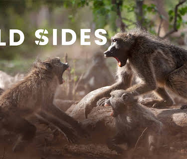 The Wild Sides, Season 1