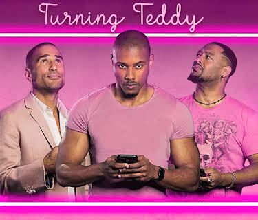 Turning Teddy: Season 1