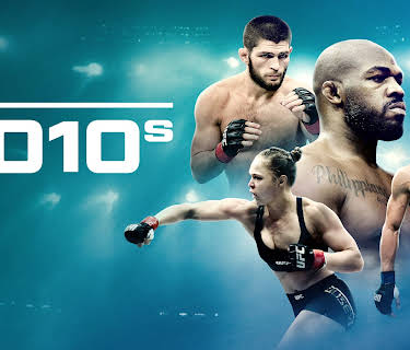 UFC 2010s