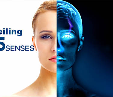 Unveiling our 5 Senses