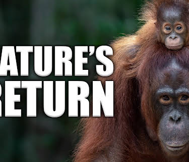 Nature's Return (2026)