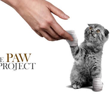The Paw Project (2013)