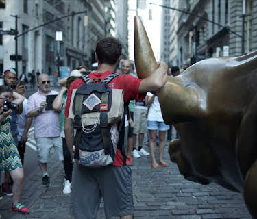 The China Hustle (2018)