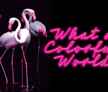 What a Colorful World (2025)
